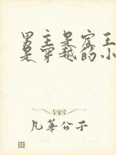 男主是宸王女主是穿越的小说