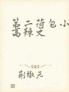 第二荷包小说网高辣文