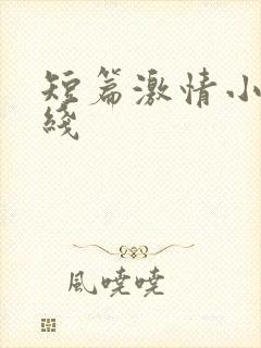 短篇激情小说在线封面