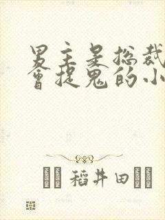 男主是总裁女主会捉鬼的小说