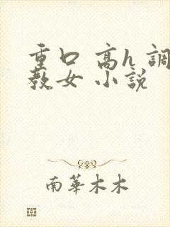 重口 高h 调教女 小说