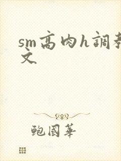 sm高肉h调教文