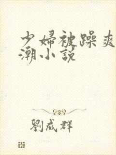 少妇被躁爽到高潮小说封面