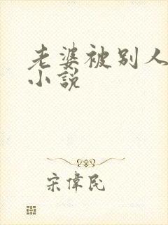 老婆被别人操了小说