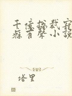 千亿总裁宠妻成瘾有声小说完整