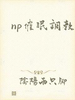 np催眠调教