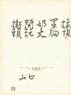 撕开奶罩揉吮奶头玩大胸视频