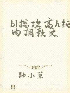 bl总攻高h纯肉调教文