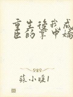 重生后我成了权臣的掌中娇更新