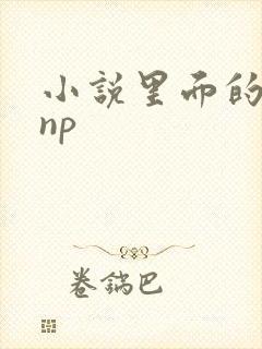 小说里面的高hnp