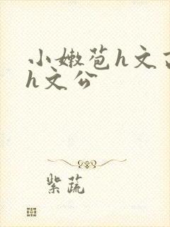 小嫩苞h文高辣h文公