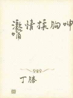 激情揉胸呻吟插嘴