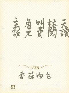 主角叫林天的小说免费阅读