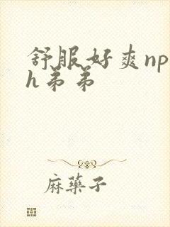 舒服好爽np高h弟弟