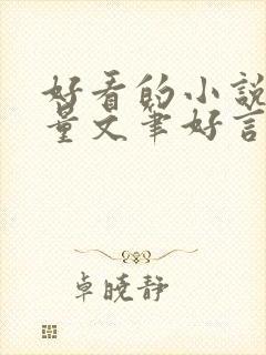 好看的小说高质量文笔好言情