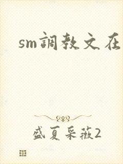 sm调教文在线