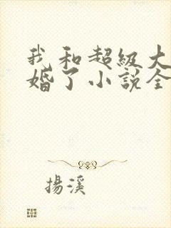 我和超级大佬隐婚了小说全文阅读