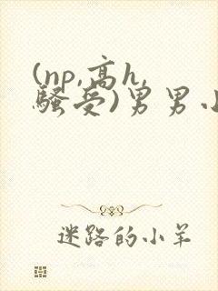 (np,高h,骚受)男男小说