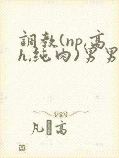 调教(np,高h,纯肉)男男