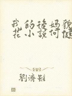 我的后妈貌美如花小说何健免费阅读封面