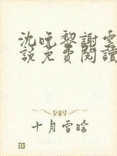 沈晚黎谢云迟小说免费阅读