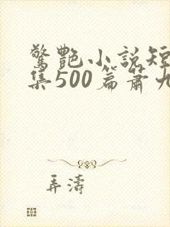 惊艳小说短篇合集500篇萧九封面