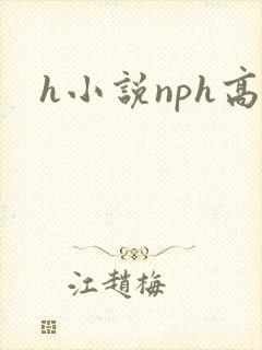 h小说nph高