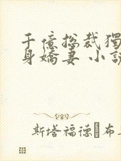 千亿总裁独宠替身娇妻 小说完整板