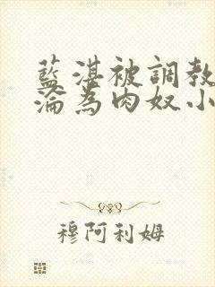 蓝湛被调教喷水沦为肉奴小说