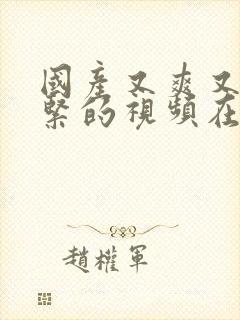 国产又爽又湿又紧的视频在线观看