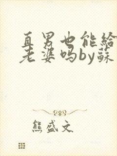 直男也能给人当老婆吗by苏晨笔趣阁