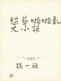 综艺啪啪乱淫h文小说