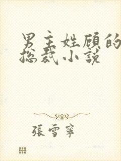 男主姓顾的现代总裁小说