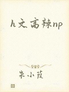 h文高辣np