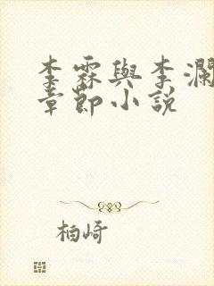 李霖与李澜最新章节小说