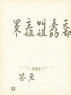 男主叫秦天有一个姐姐的都市小说