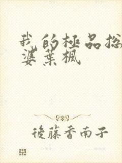 我的极品总裁老婆叶枫封面