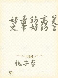 好看的高质量的文笔好的言情