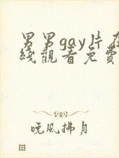 男男gay片在线观看免费