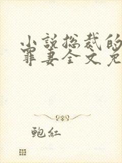 小说总裁的新婚罪妻全文免费阅读