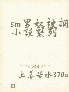 sm男奴被调教小说系列