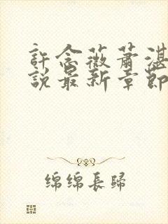 许念薇萧湛明小说最新章节免费阅读