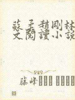 苏柔赵刚林风全文阅读小说