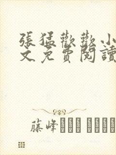 张猛欢欢小说全文免费阅读最新章节