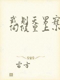 武则天男宠怎么伺候皇上小说免费阅读