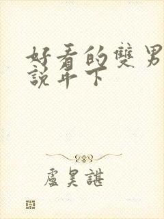 好看的双男主小说年下