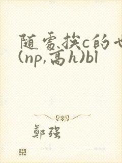 随处挨c的世界(np,高h)bl