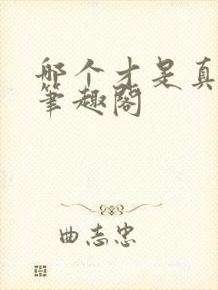 哪个才是真正的笔趣阁