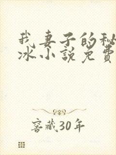 我妻子的秘密王冰小说免费阅读