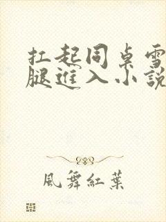 扛起同桌雪白双腿进入小说封面